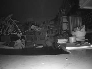 voyeurcam bridgetleewalters 02